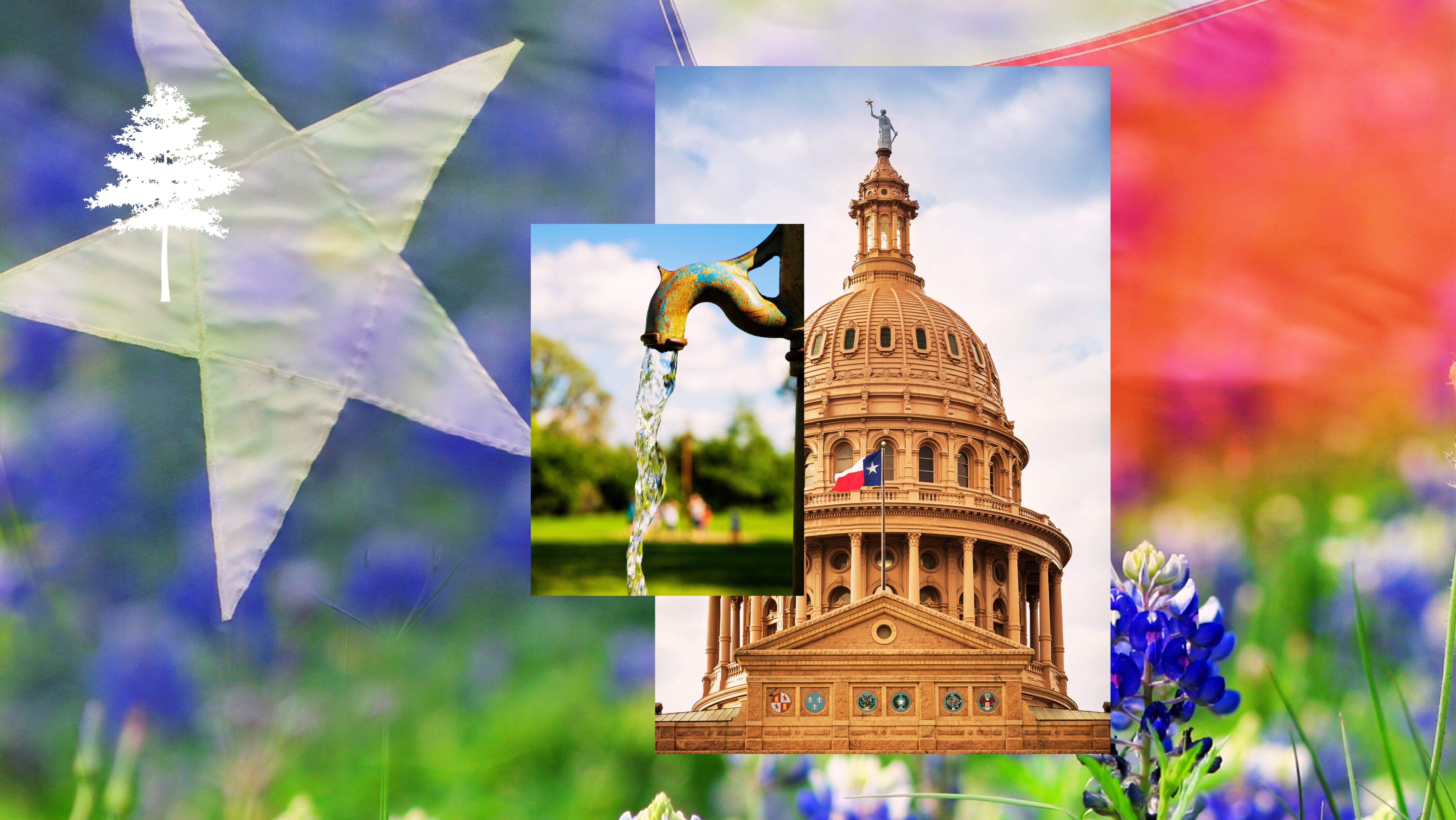 July 2025 Social Media