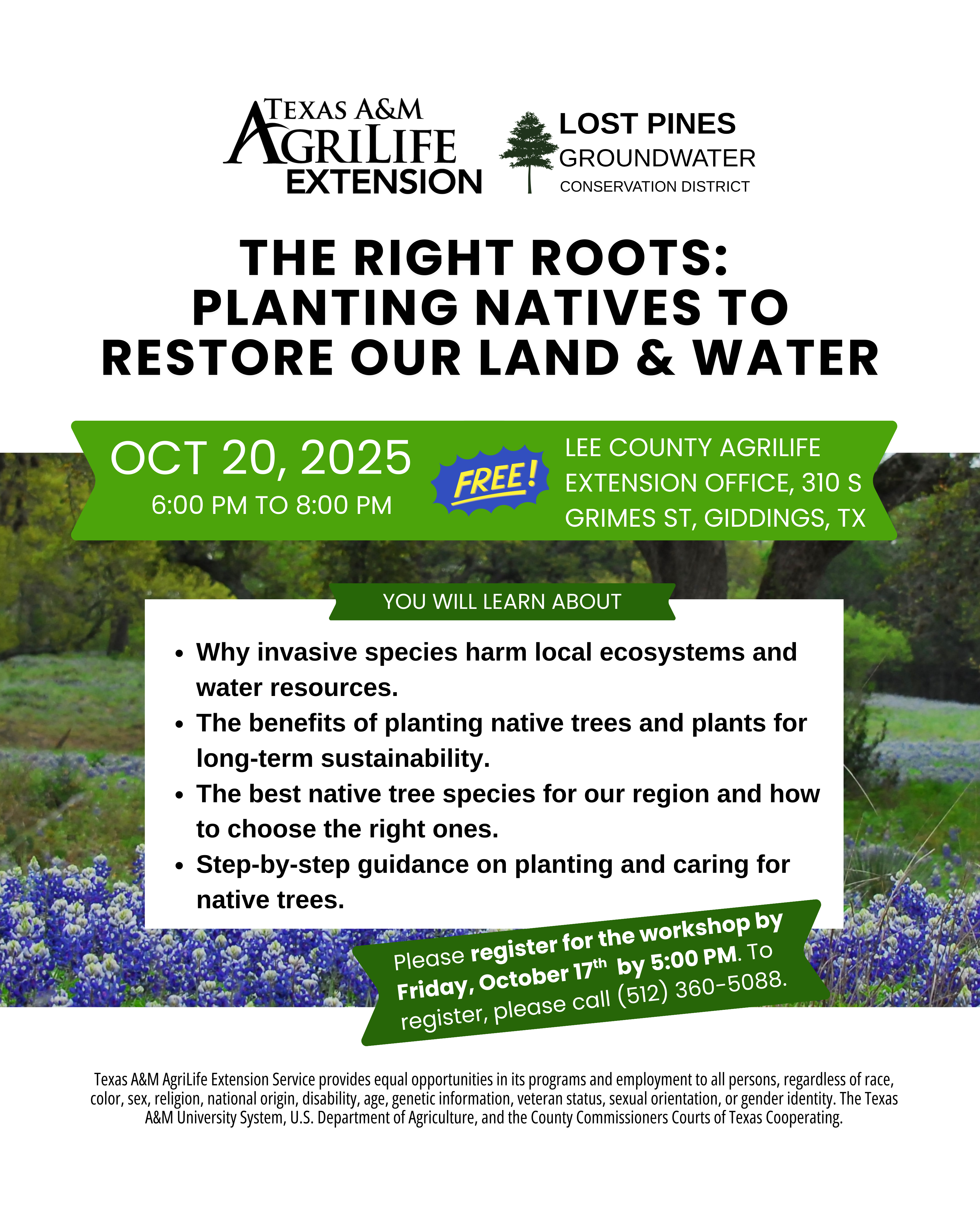Flyer with details of native tree workshop