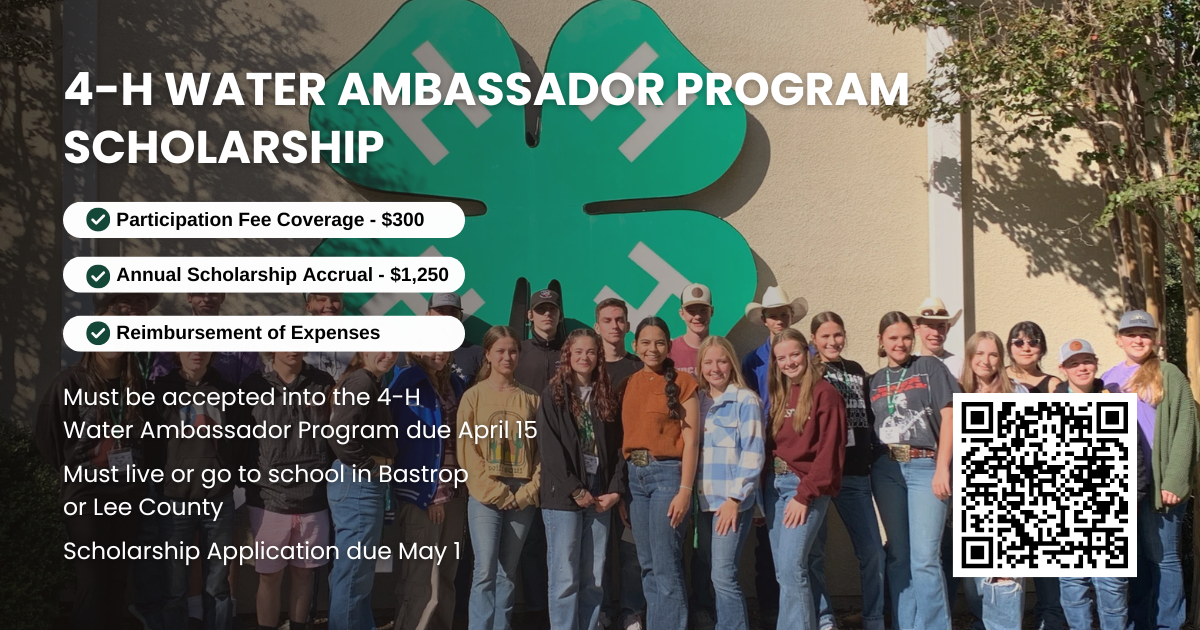 Group of students standing in front of a large 4-H clover sign with text promoting the 4H2O