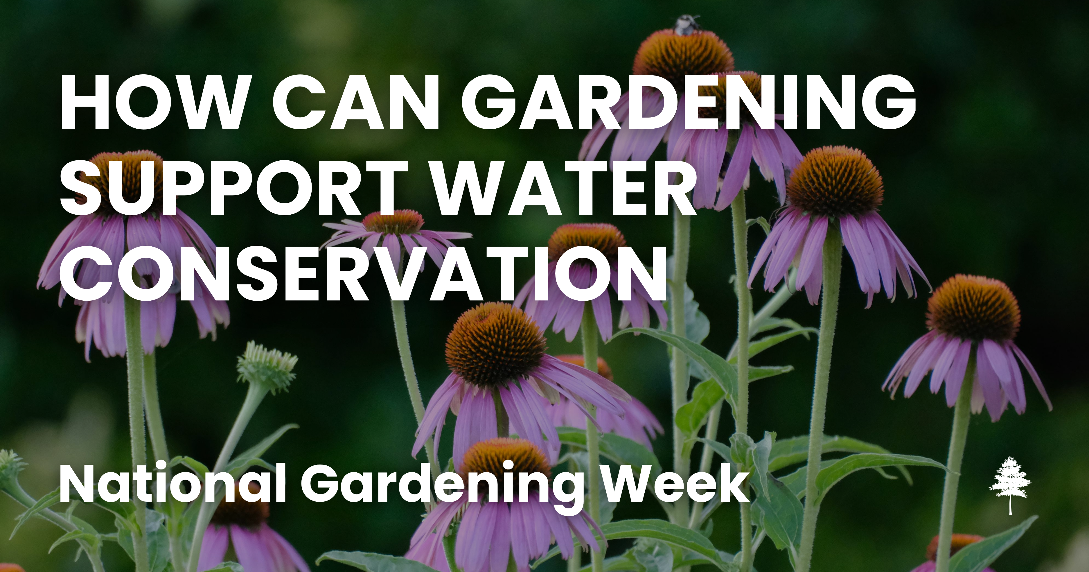 Purple flowers graphic with text about gardening and water conservation.