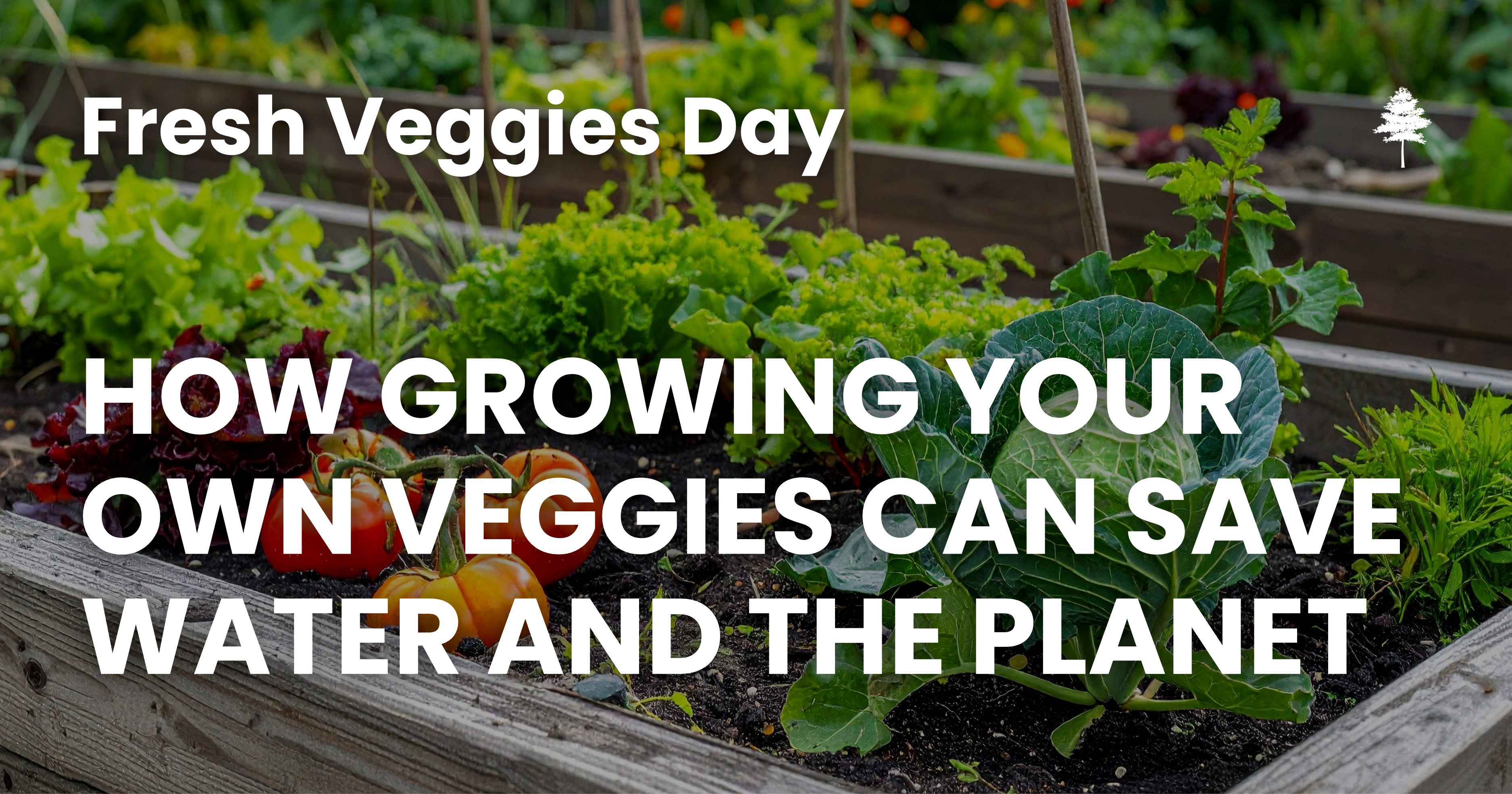 Vegetable garden graphic with text about growing your own veggies to save water and support the envi