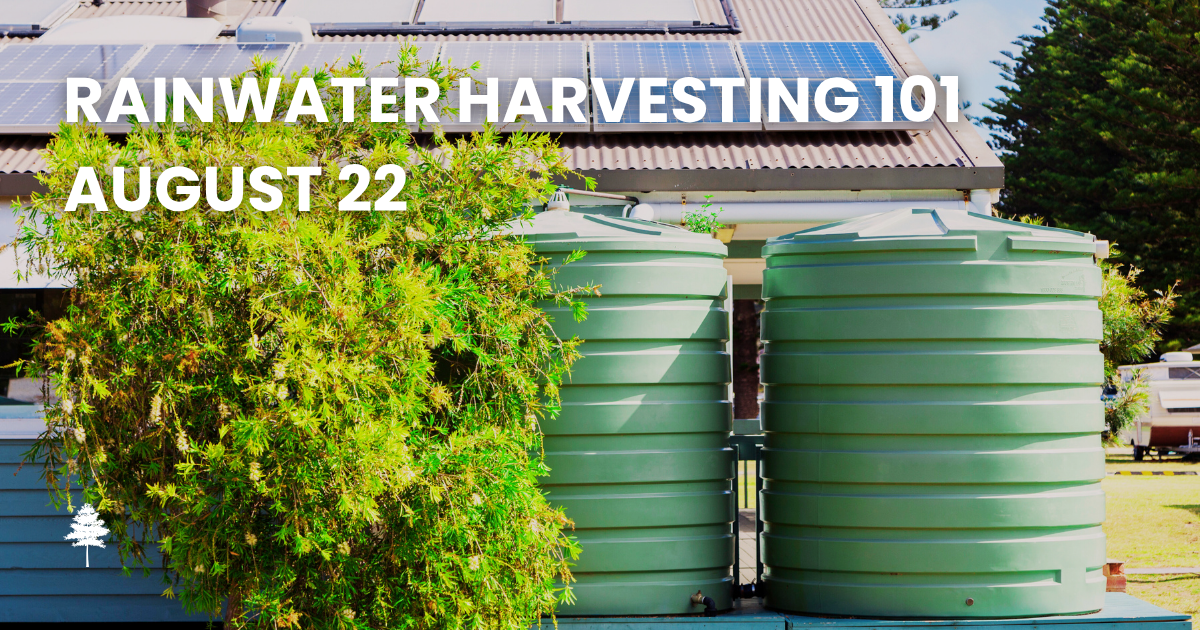 Rainwater collection tanks beside a home with the text “Rainwater Harvesting 101, August 22.”