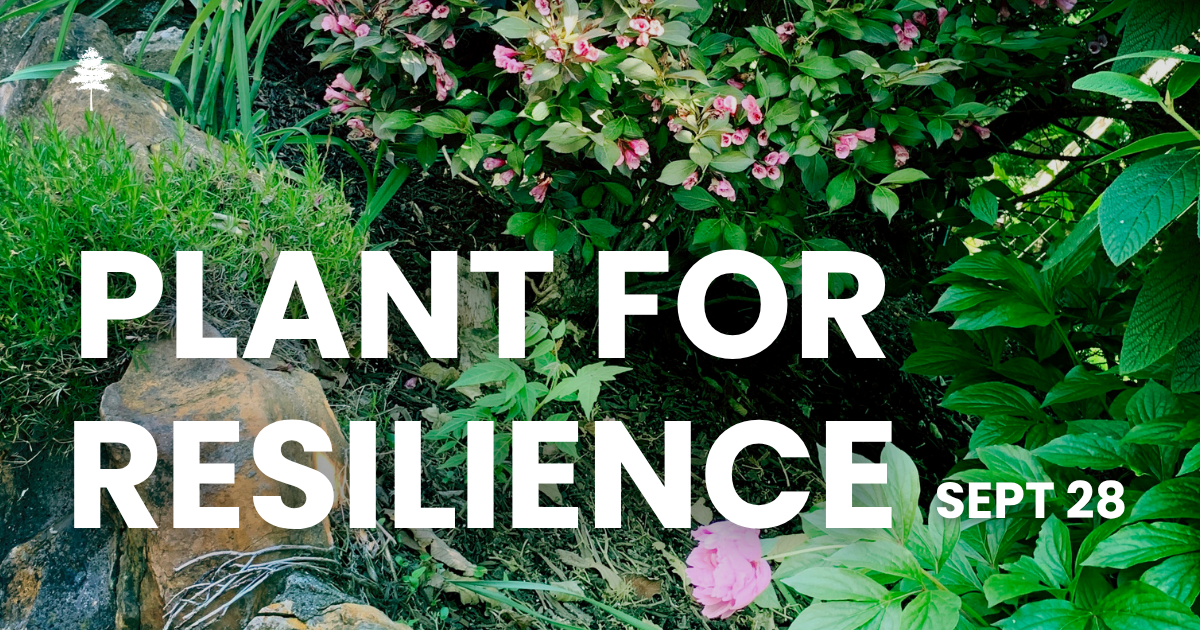 Garden landscape with white text reading, \"Planting for Resilience Workshop, September 28.\"