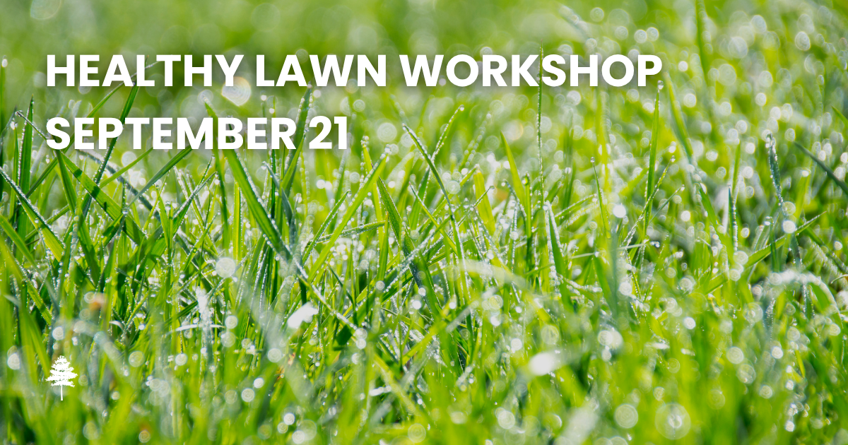 Green grass with white text reading, \"Healthy Lawn Workshop, September 21.\"