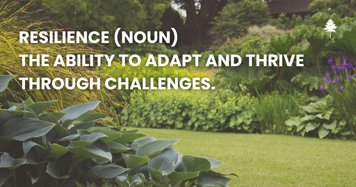 Flowering garden landscape promoting the Plant for Resilience workshop on September 28.